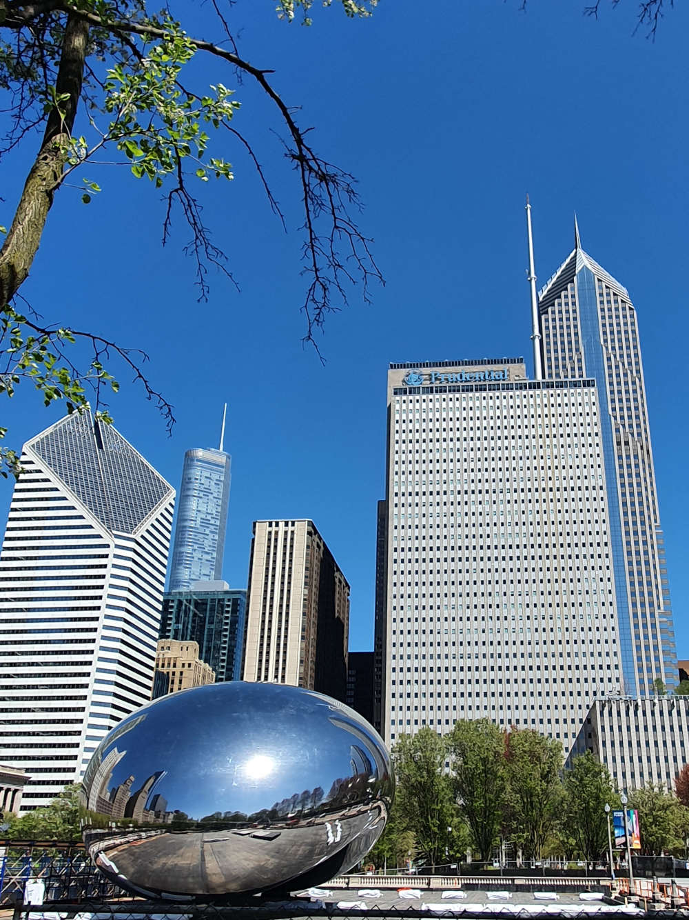 Chicago Tour Visita
