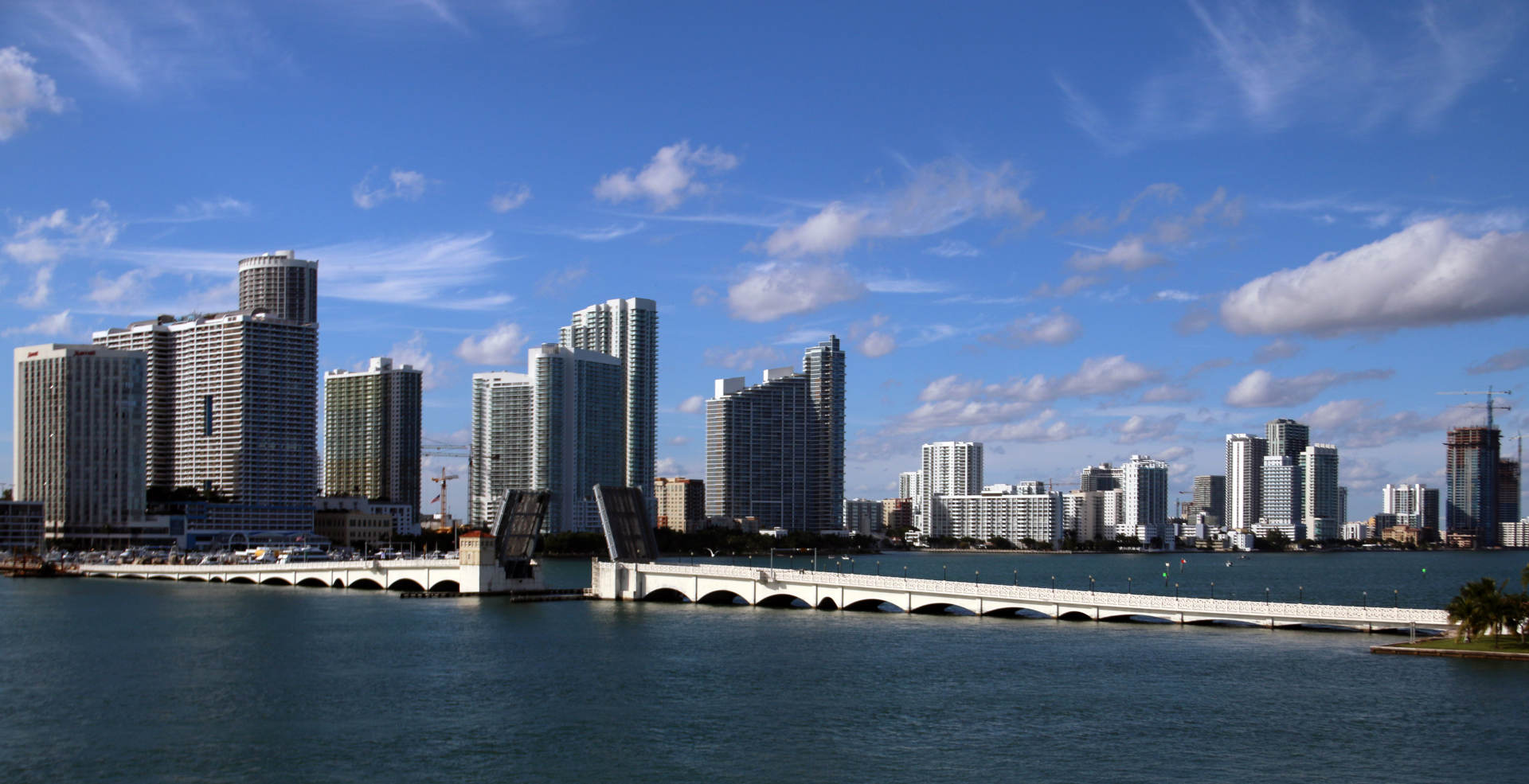 Freetours USA | Blue Umbrella Tours